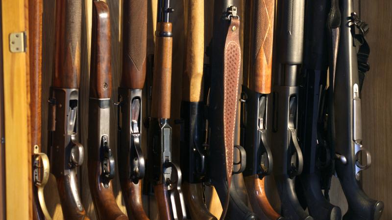 Guns