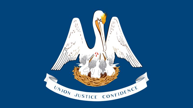 Louisiana State flag