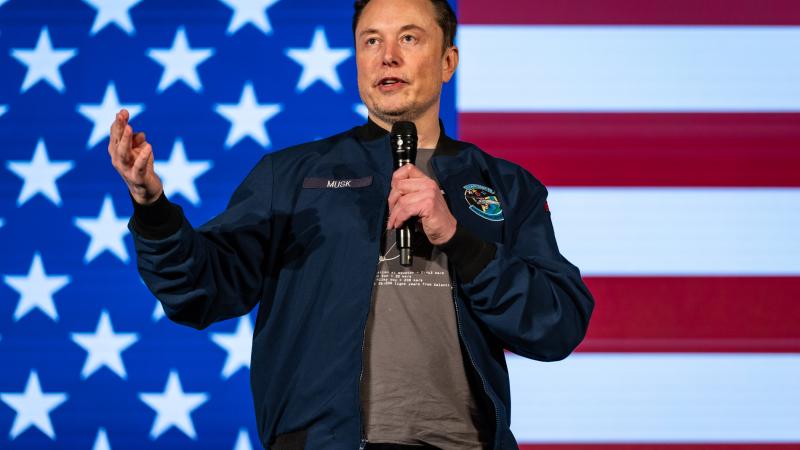 X owner Elon Musk
