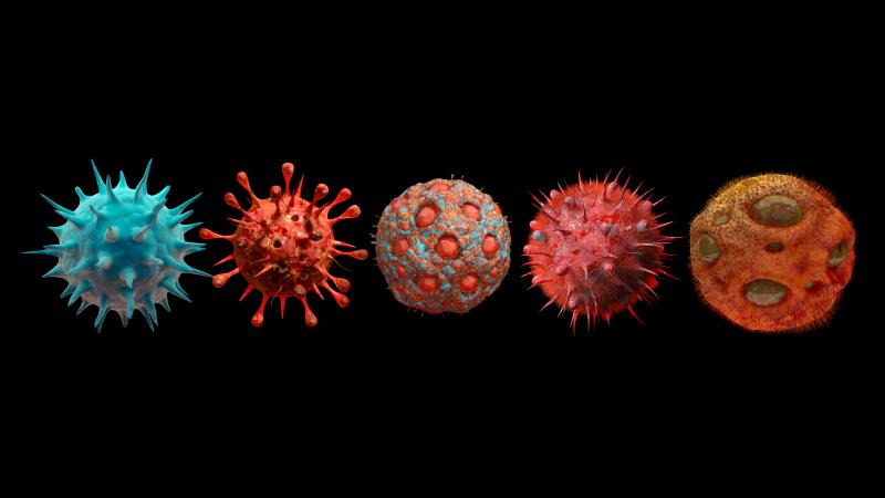 Virus mutation